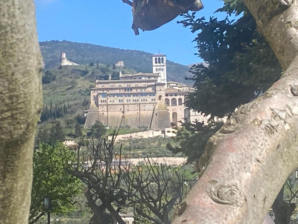 Agriturismo Il Girasole Assisi Villa Esterno foto