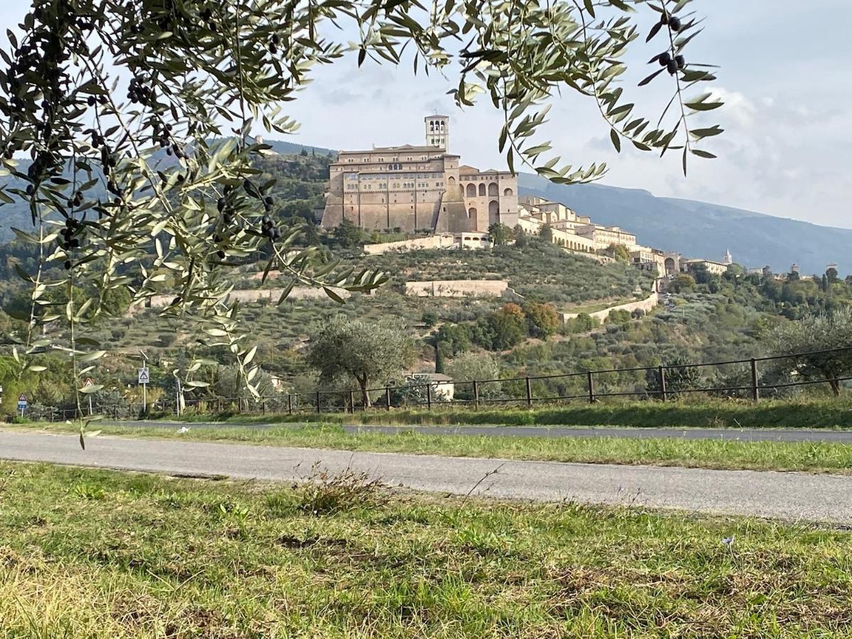 Agriturismo Il Girasole Assisi Villa Esterno foto