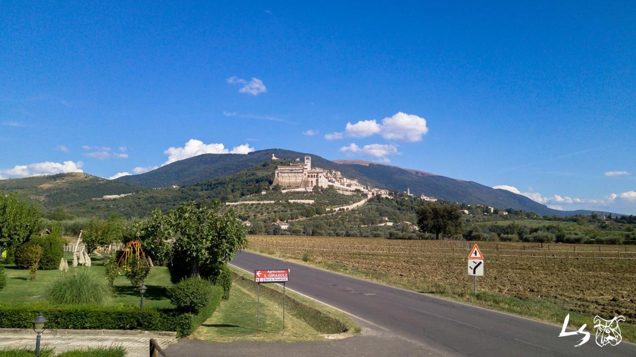 Agriturismo Il Girasole Assisi Villa Esterno foto